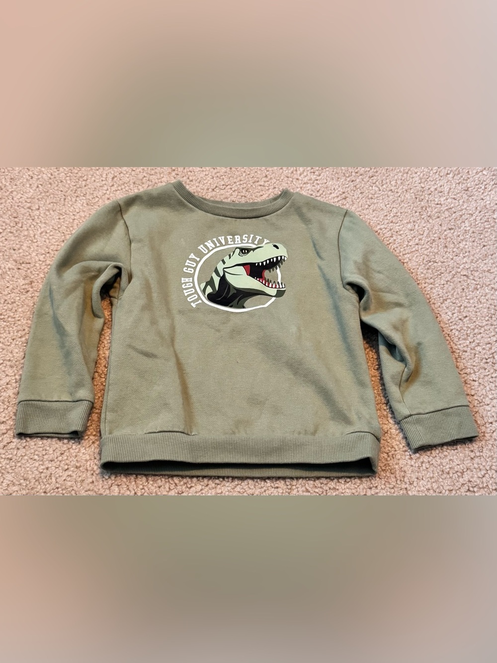 Dino Sweatshirt in Olive Green